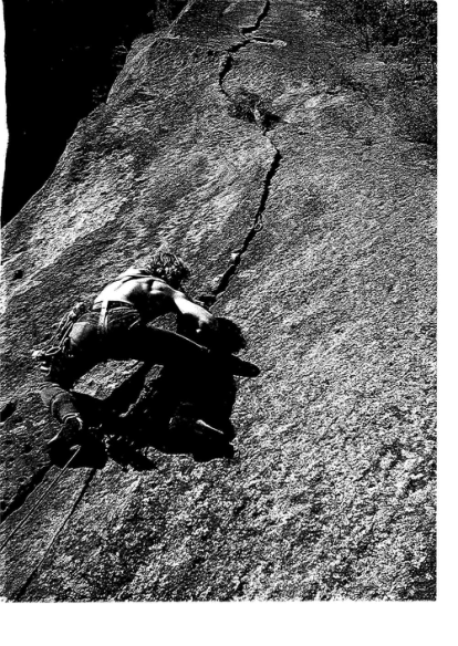 New Zealand Alpine Journal 1980 Vol 33 cover
